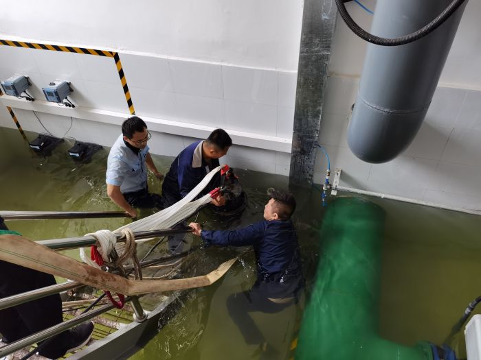 Ѵ�鴵푛_�h̖(h��o) �^��(zh��n)һ��(xi��n)�@��ɫ (8).jpg